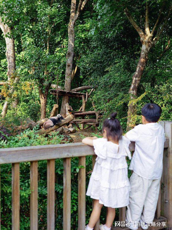 由行 成都三日游超全四川旅行指南！pg电子模拟器免费版成都怎么玩自(图3)